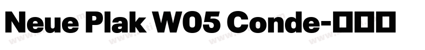 Neue Plak W05 Conde字体转换